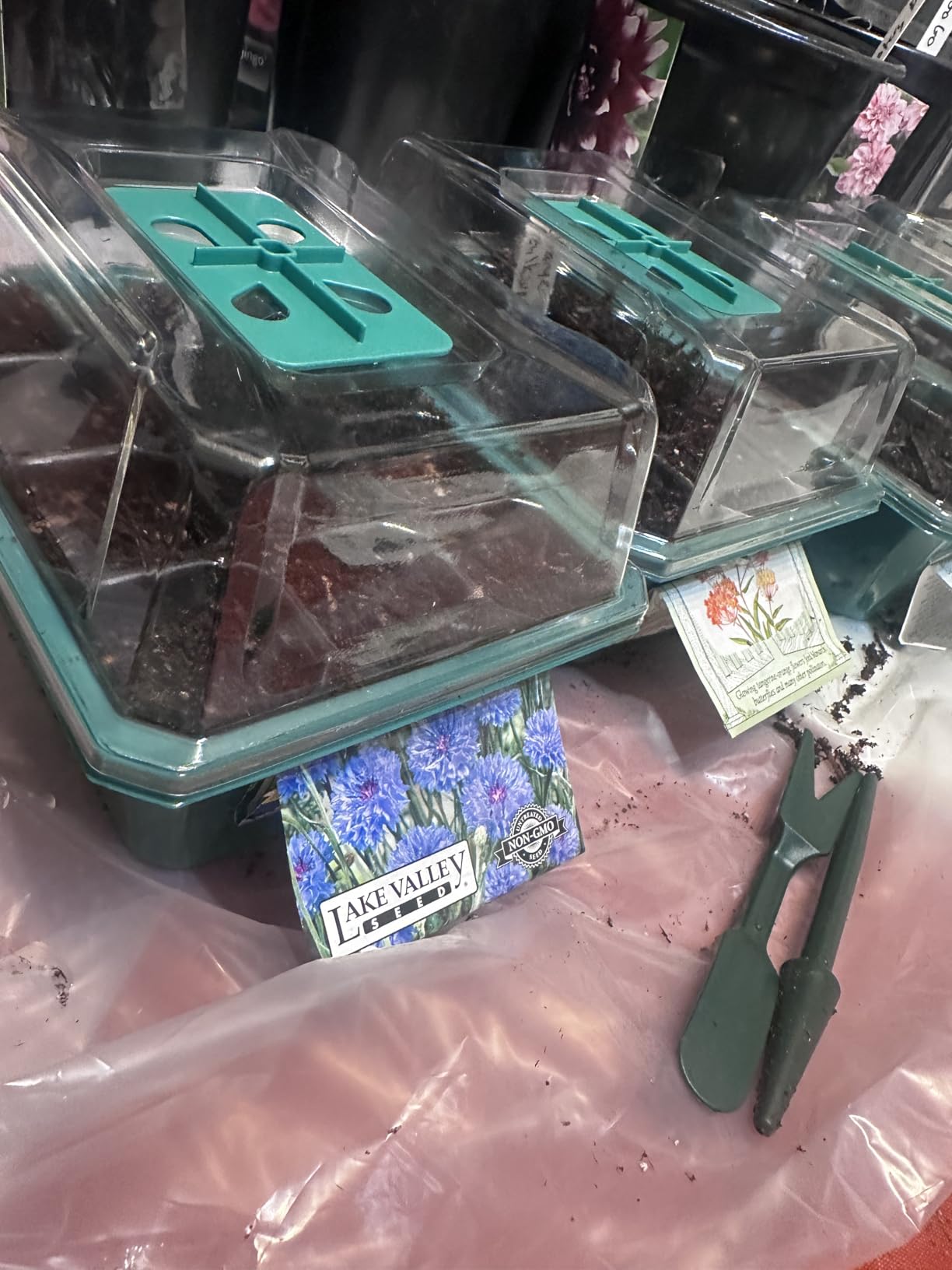 VIVOSUN 6-Pack Seed Starter Trays, 72-Cell Starter Kit with Humidity Dome customer photo 2