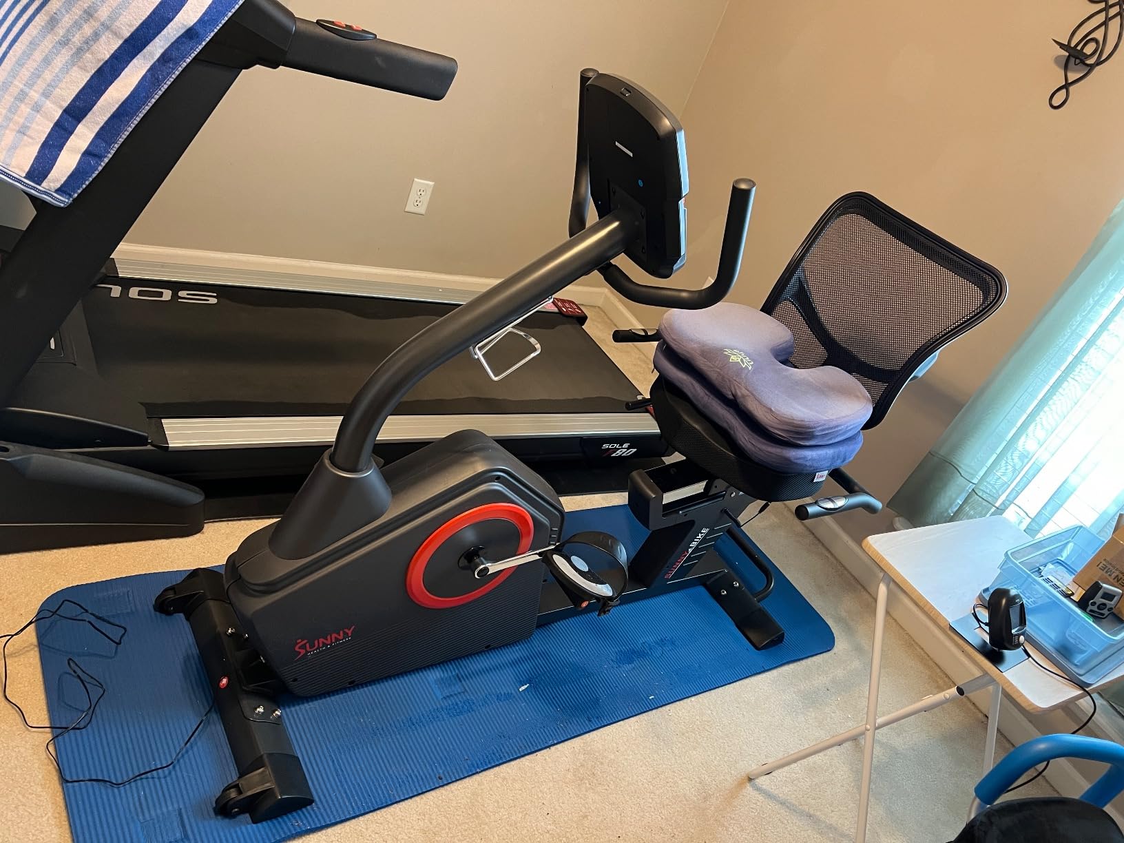 Sunny Health & Fitness Smart Recumbent Bike for Indoor Low Impact Cardio customer photo 2