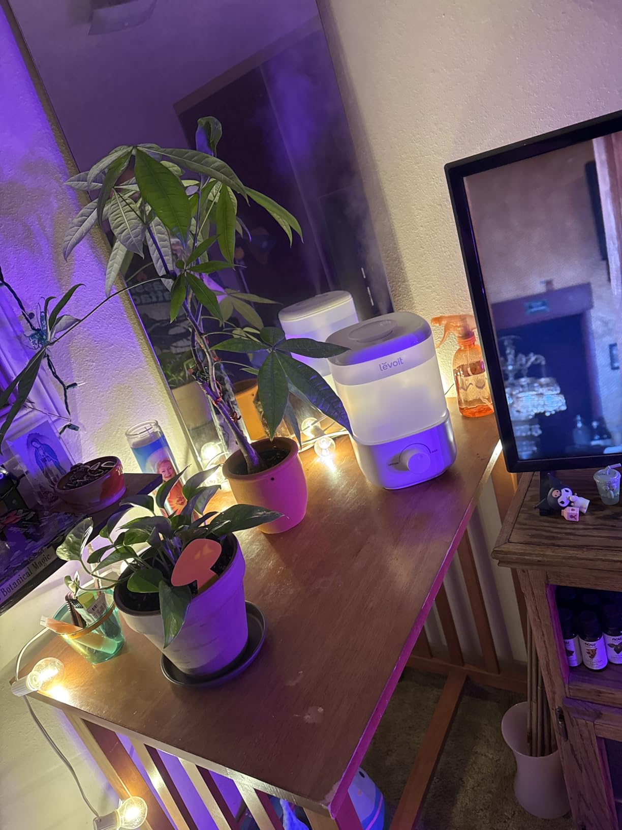 Levoit Humidifiers for Bedroom, Quiet, 3L Cool Mist, Essential Oil Diffuser customer photo 2