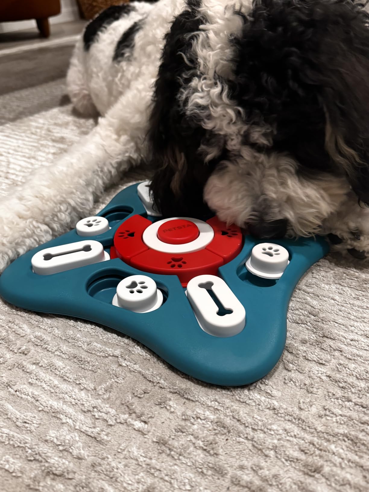 PETSTA Dog Puzzle Toys, Treat Dispensing Dog Enrichment Toys for IQ Training and Brain Stimulation, Interactive Mentally Stimulating Toys as Gifts for Puppies, Cats, Dogs customer photo 1