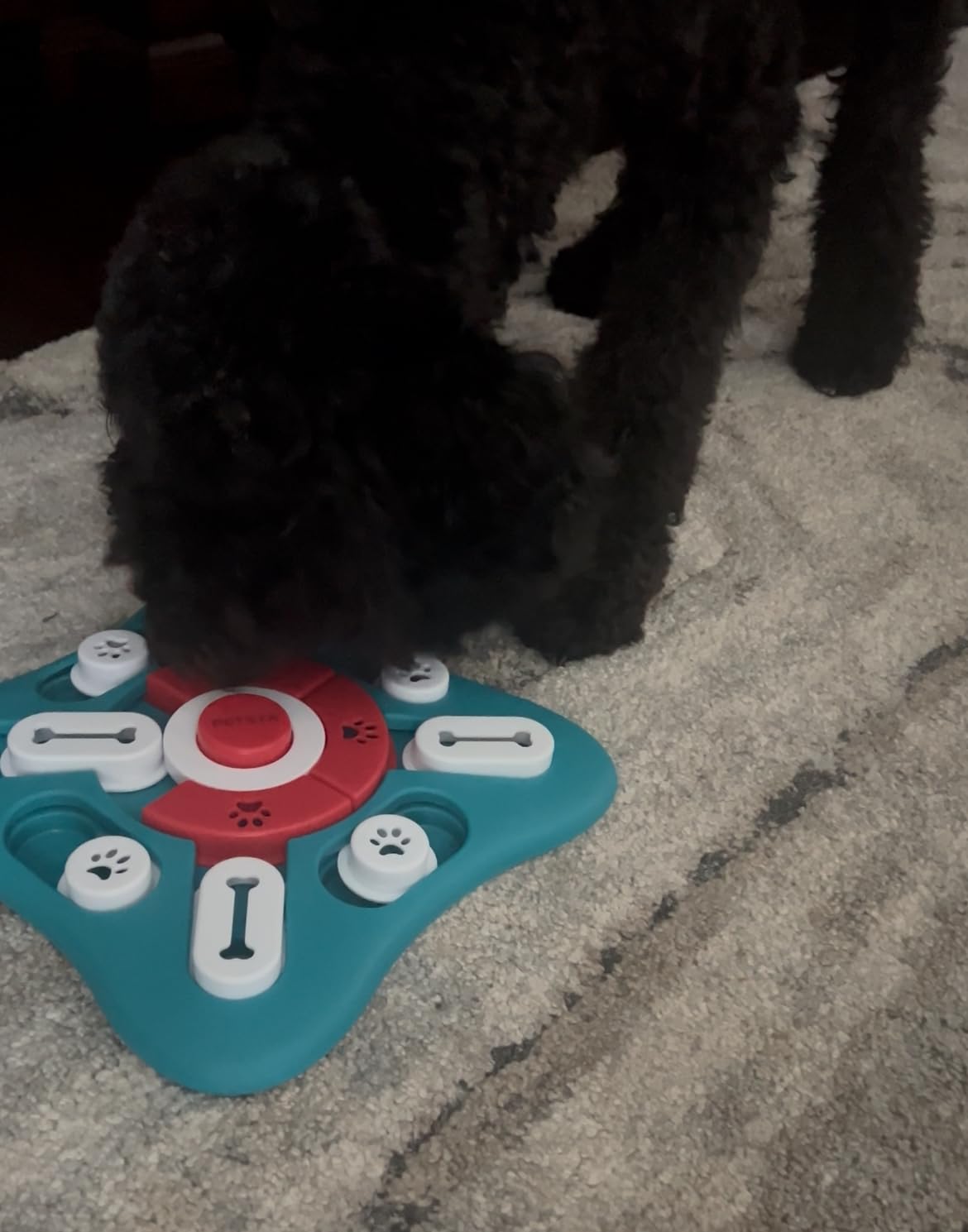 PETSTA Dog Puzzle Toys, Treat Dispensing Dog Enrichment Toys for IQ Training and Brain Stimulation, Interactive Mentally Stimulating Toys as Gifts for Puppies, Cats, Dogs customer photo 2