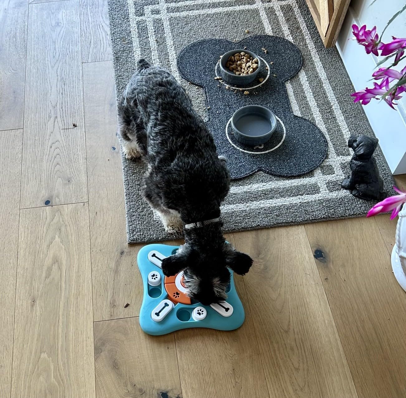 FOXMM Interactive Dog Treat Puzzle Toys for IQ Training&Mental Stimulating customer photo 1