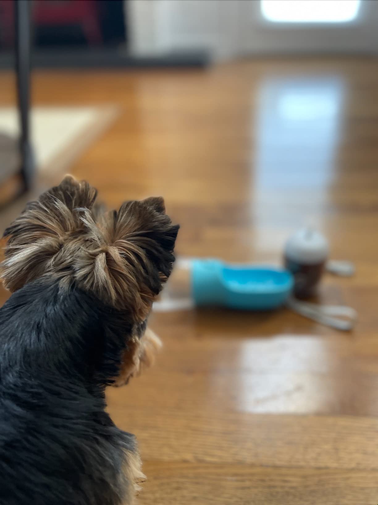 Dog Water Bottle with Food Container, Portable Leak Proof Pet Water Dispenser for Walking Hiking Travel, Puppy Essentials Accessories for Small Large Dogs, Dog Gifts (10oz/15oz/19oz) customer photo 1