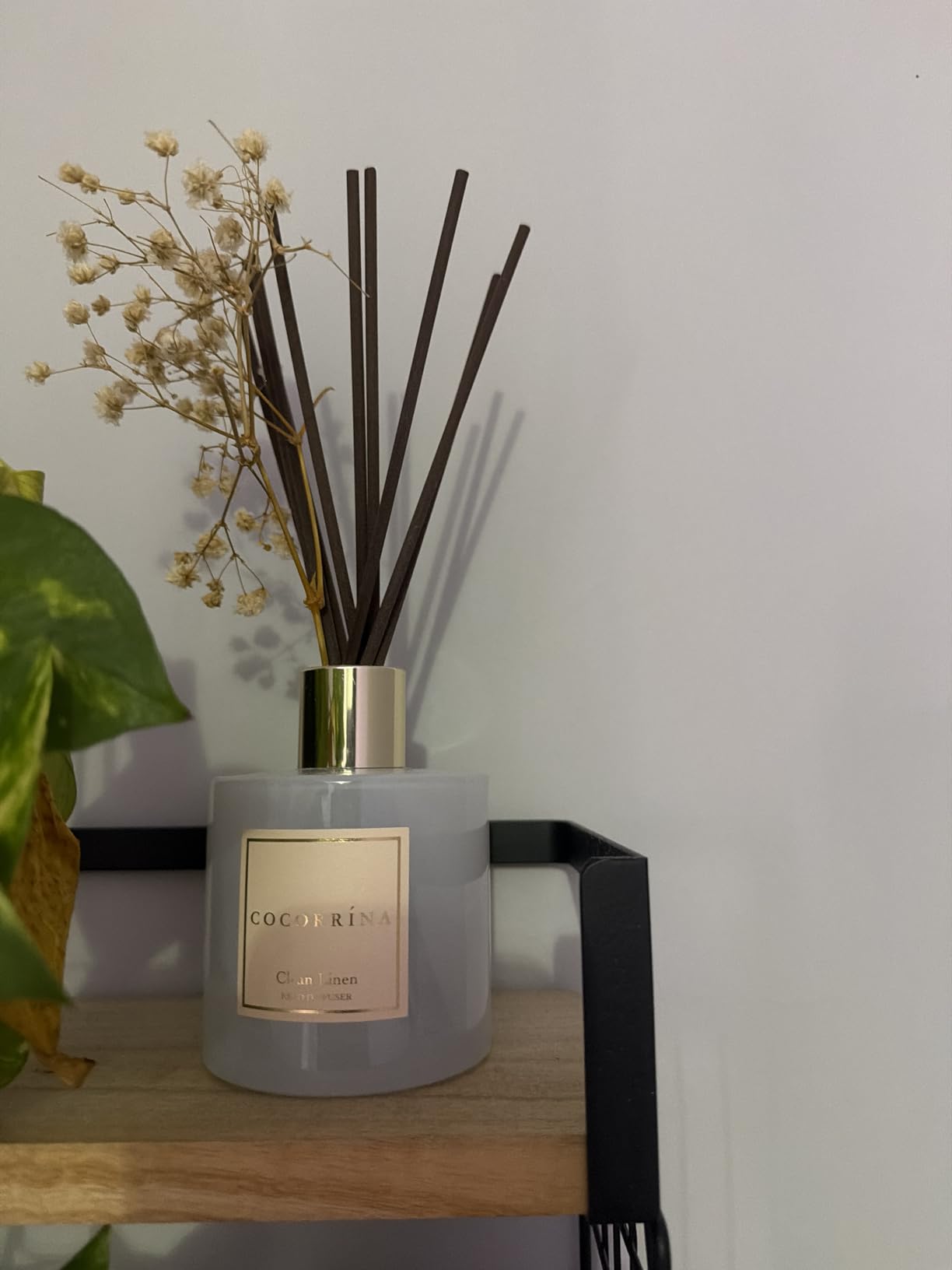 Cocorrína Reed Diffuser Set, Clean Linen 6.7 fl oz Scented Diffuser with Sticks Home Fragrance Reed Diffuser for Bathroom Shelf Décor customer photo 1