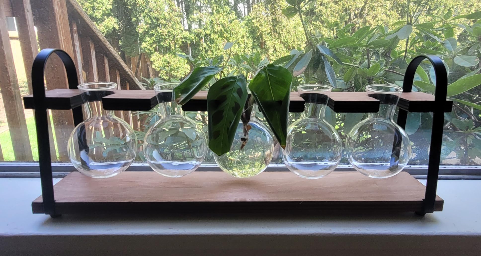 5-Bulb Plant Propagation Station, Glass Vase Terrarium, Wood Metal Stand customer photo 1