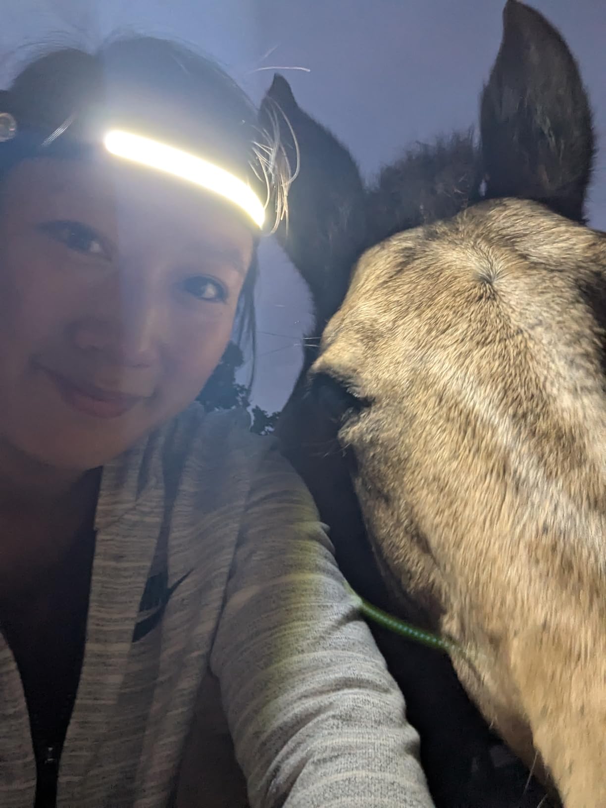 Headlamp Rechargeable 2PCS, 230° Wide Beam Head Lamp LED with Motion Sensor for Adults - Camping Accessories Gear, Waterproof Head Light Flashlight for Hiking, Running, Repairing, Fishing, Cycling customer photo 1