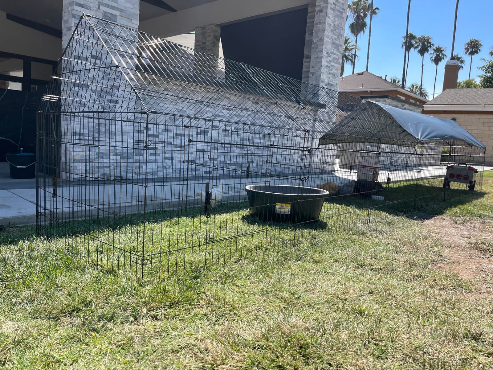 Chicken Coop, 86