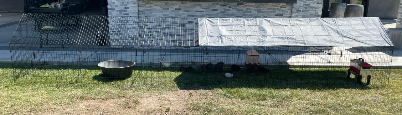 Chicken Coop, 86