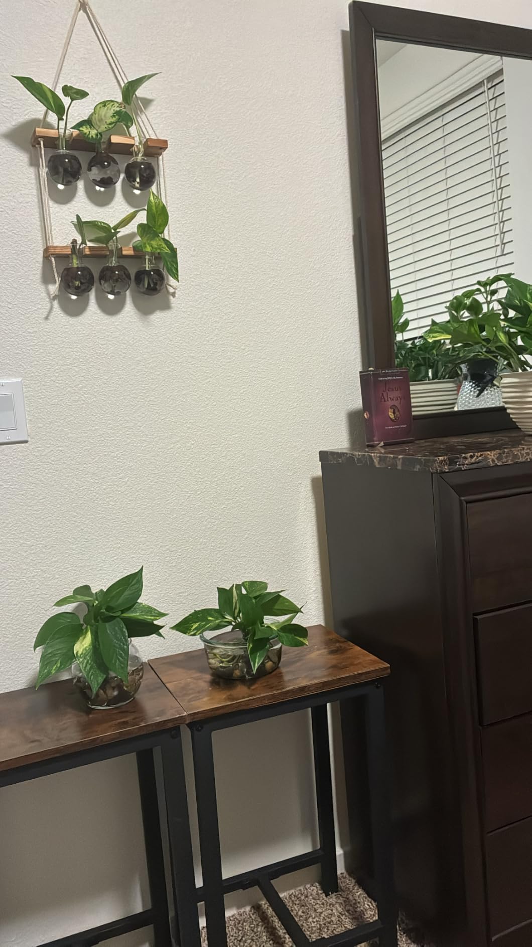 Renmxj Plant Propagation Station Wall Hanging with 2 Tiered Wooden Stand customer photo 2