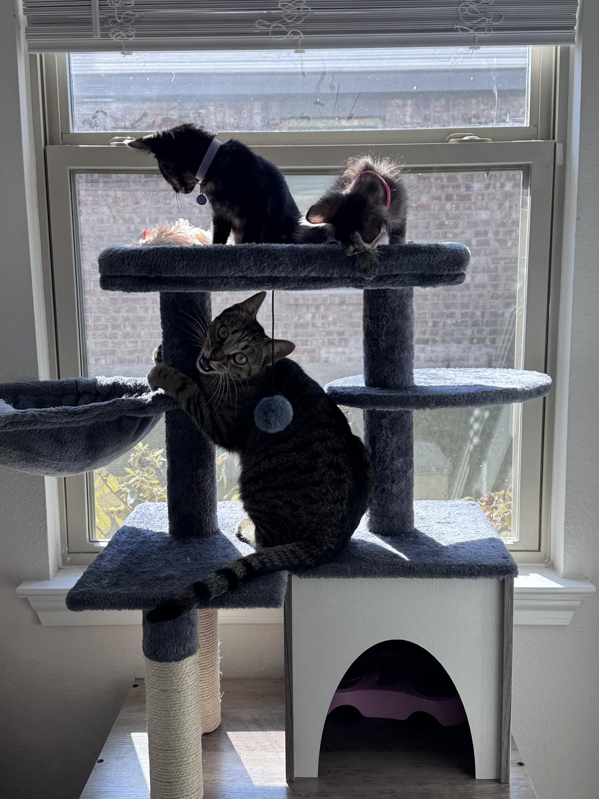 Snughome Cat Litter Box Enclosure with Tree Tower and Condo, Hidden Washroom Furniture with Sisal Scratching Post and Soft Plush Perch, Wooden Cat Furniture with Multiple Platforms, Grey customer photo 1