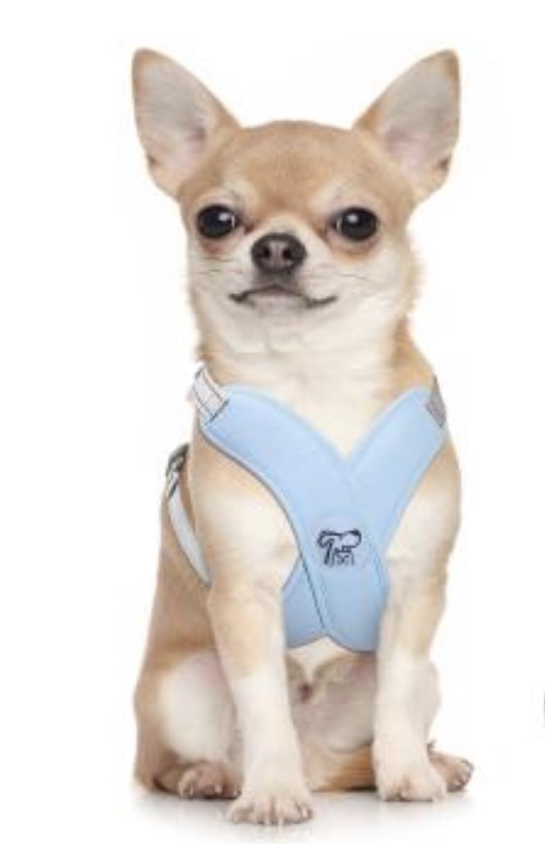 haapaw Dog Harness with Leash Set, No Pull Adjustable Reflective Step-in Puppy Harness with Thickened Padded Vest for Extra-Small/Small Medium Dogs customer photo 1