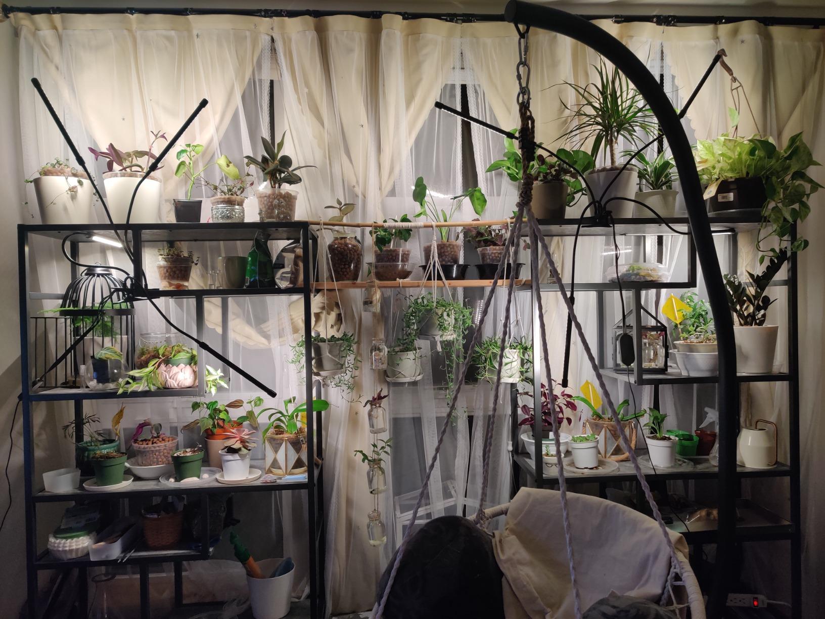 bseah Grow Light Plant Lights for Indoor Plants, Full Spectrum Led Growing Lamp with 3/9/12H Timer, Auto ON & Off, 10 Dimmable Lightness Clip-On Desk customer photo 2