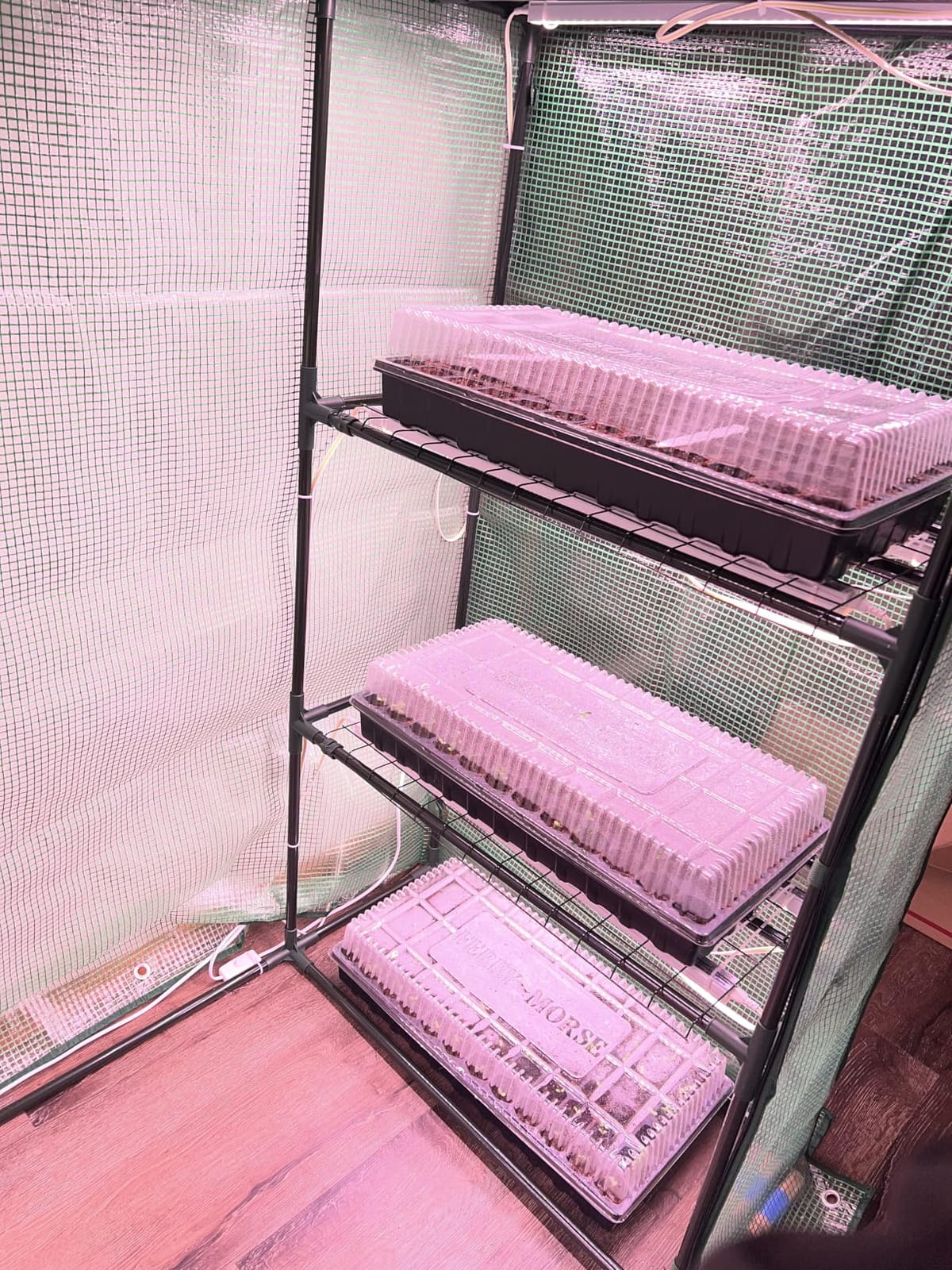 Barrina T5 Grow Lights for Indoor Plants, 5000K Full Spectrum, 1FT, 4 Packs customer photo 2