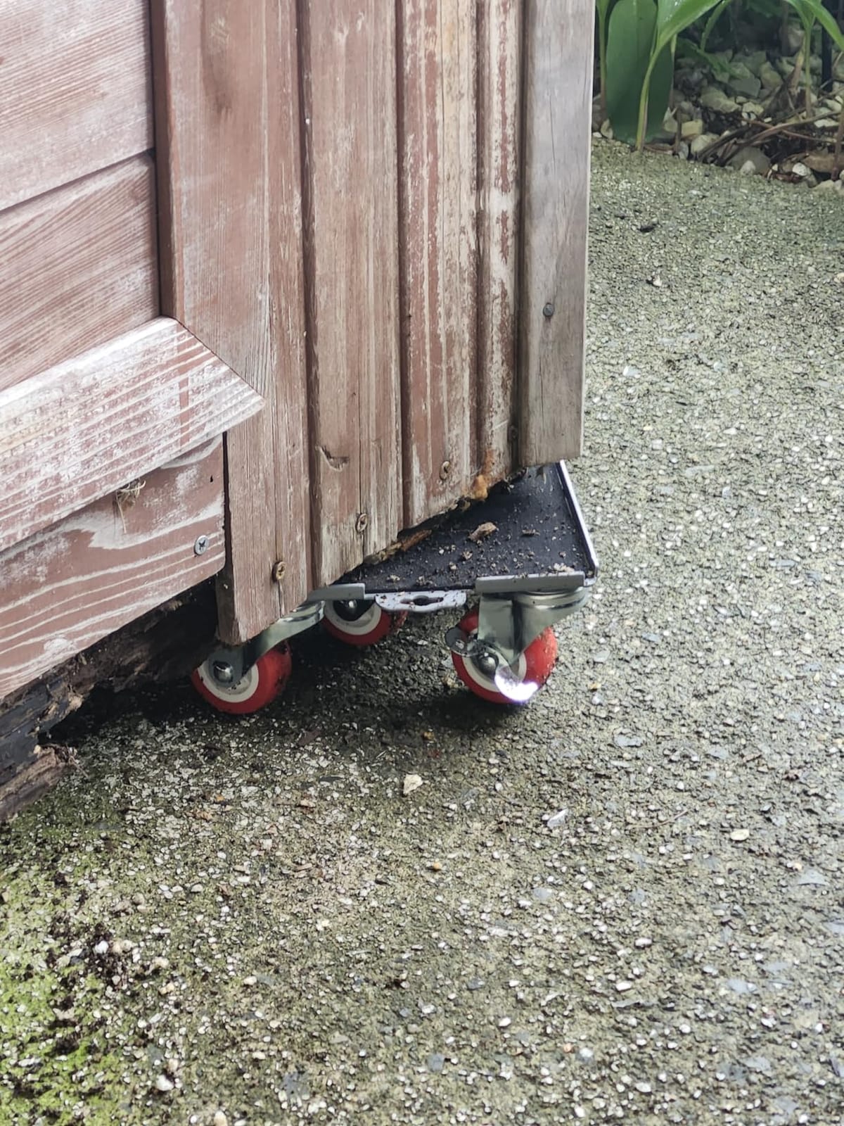 MYUEA Furniture Dolly,Furniture Movers with 5 Wheels,Carbon Steel Panel Heavy Duty Dolly,Maximum Load 3474LBS,Furniture Lifter with 5 360° Rotatable Rubber Universal Wheels(Black,6.89x6.9 in) customer photo 1