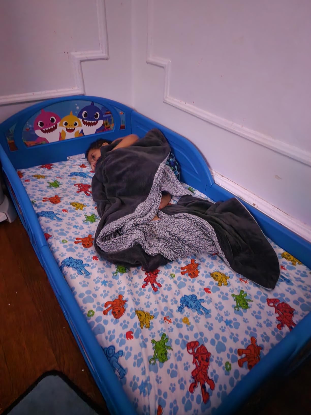 Baby Shark Plastic Sleep and Play Plastic Toddler Bed with Attached Guardrails by Delta Children, Blue customer photo 2
