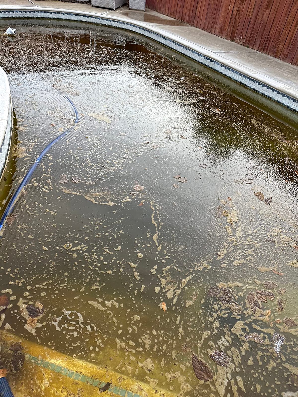 Polaris MAXX Premium Suction-Side Automatic Pool Cleaner customer photo 2