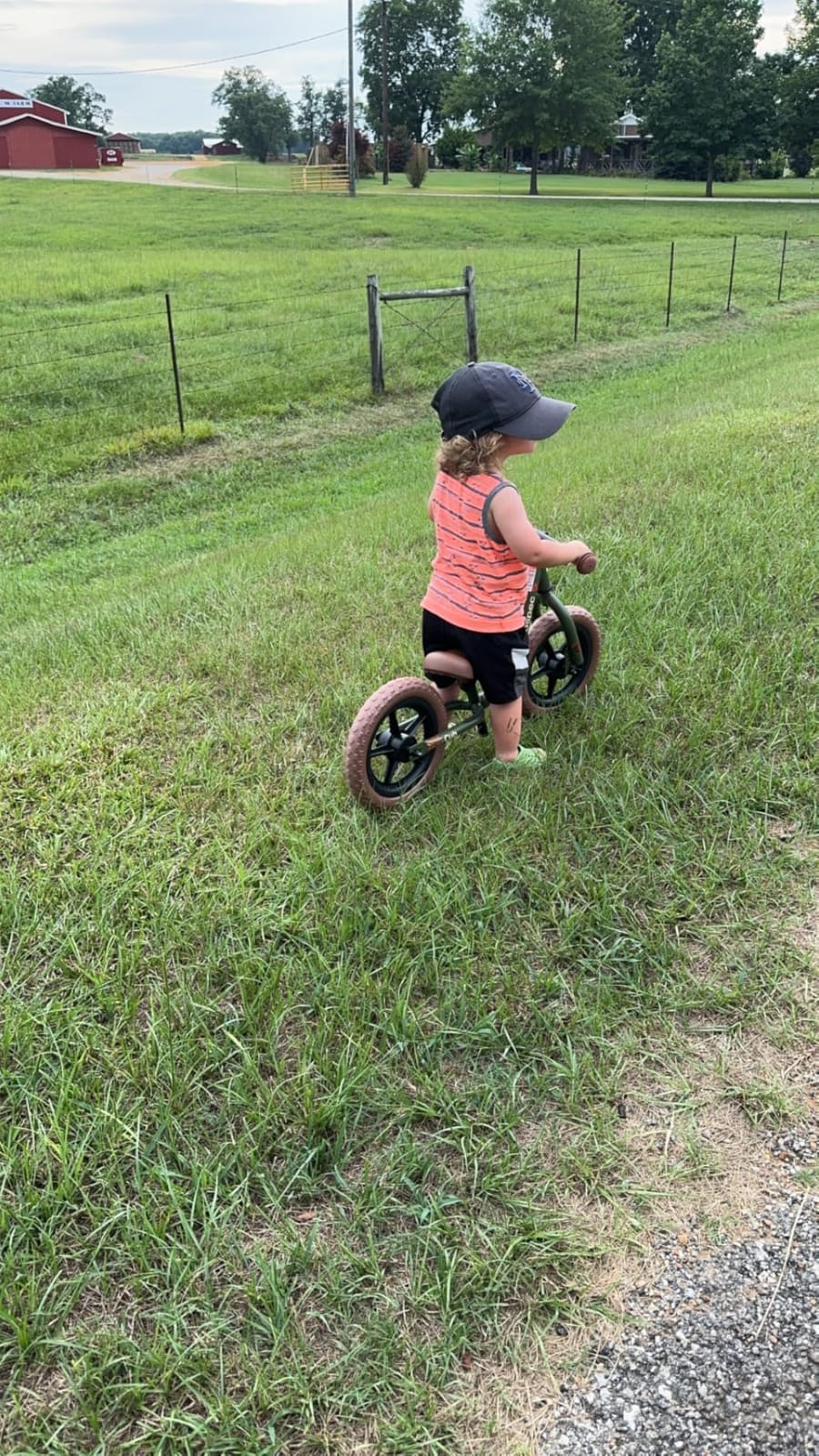 Retrospec Cub Toddler Balance Bike for Ages 18 Months - 3 Years - 12in No-Pedal Beginner Bicycle with Adjustable Seat, Puncture-Proof Tires & Safe Low Frame Design customer photo 2