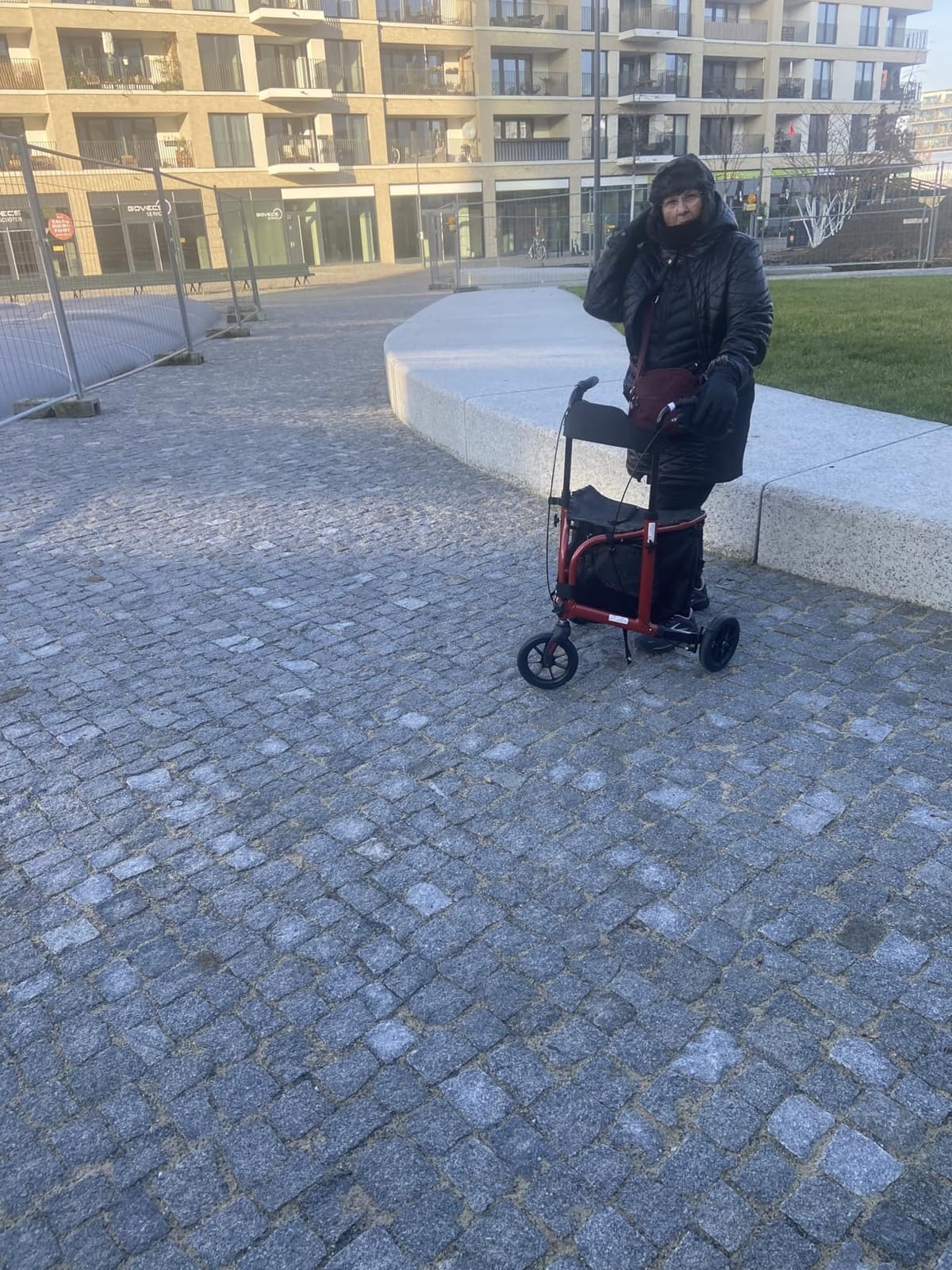 Walk Mate 3 Wheel Rollator Walker with Seat for Slim Seniors, Padded Backrest Lightweight Foldable Travel Walker Ideal for Elderly, 8 Inch Tri-Wheel Modern Mobility Walking Aid Aluminum, Green customer photo 2
