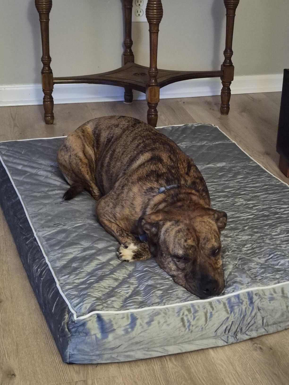 WNPETHOME Orthopedic Waterproof Extra Large Senior Dogs Bed for Comfy Sleep customer photo 1