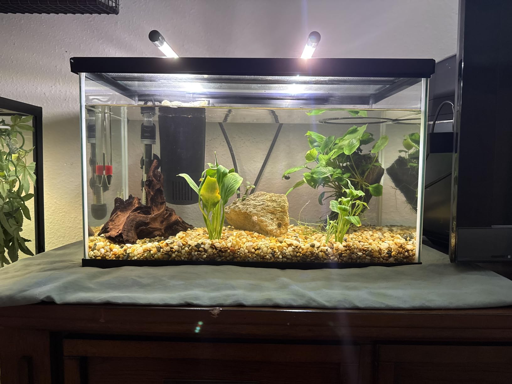 Wolezek Clip on Grow Lights for Indoor Plants, Full Spectrum 6000K customer photo 1