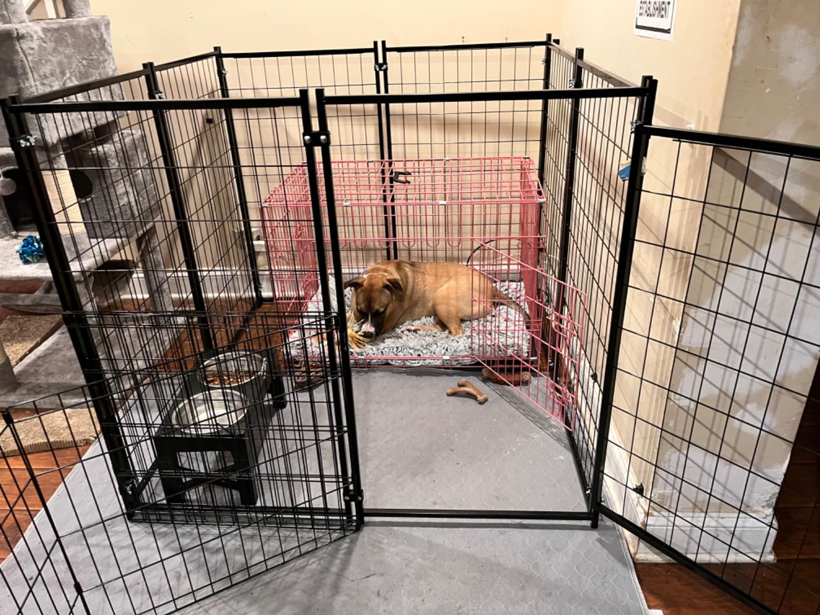 Dog Kennel Outdoor, 4.5' x 4' x 4' Outside Dog Kennel with Roof, Welded Wire Pet Pen with Security Lock Dog Cage for Outside Dog Enclosures for Medium Small Dogs customer photo 1