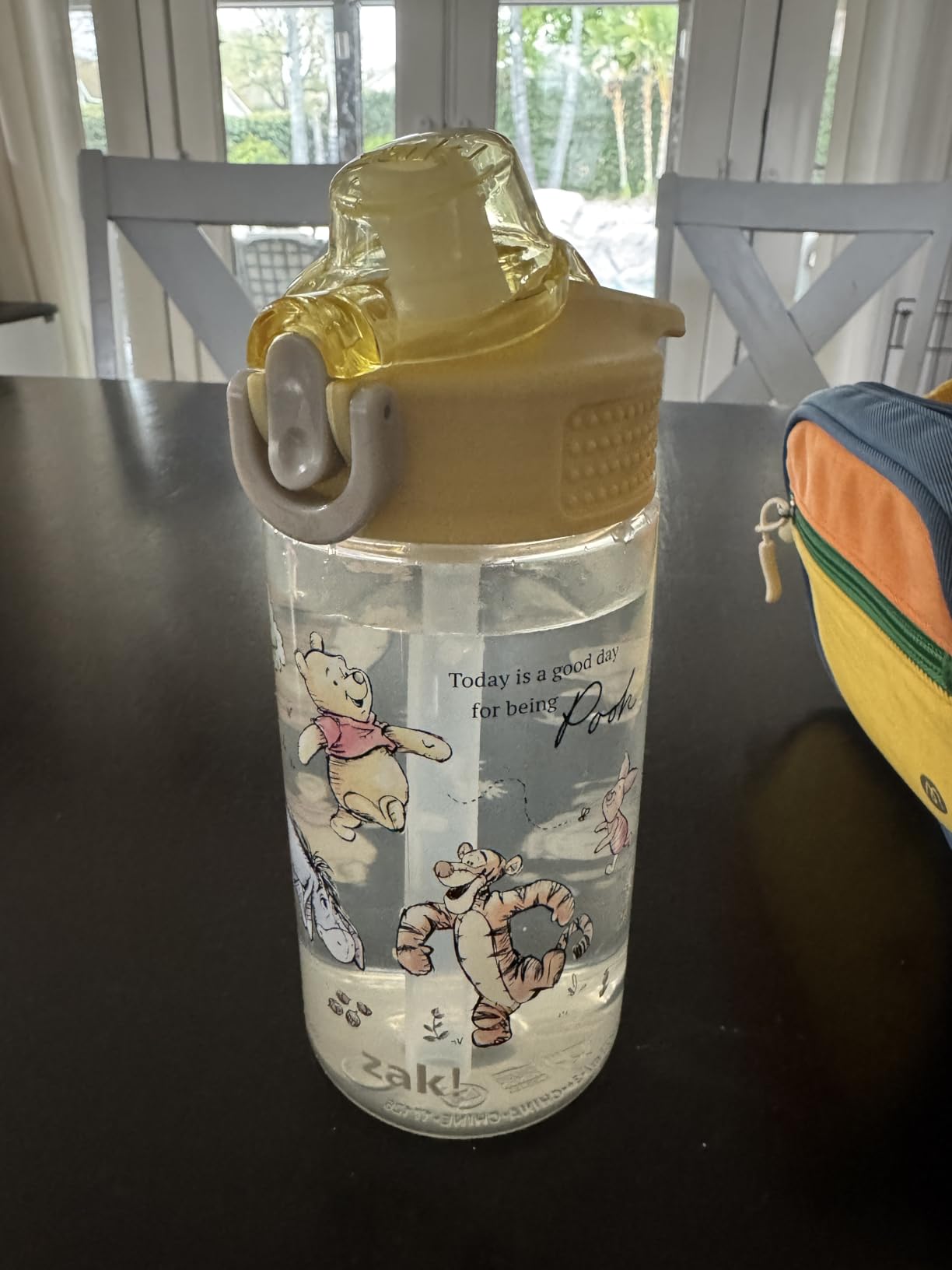 Zak Designs Dinosaur 16oz Leak-Proof Straw Kids Water Bottle, Plastic customer photo 1