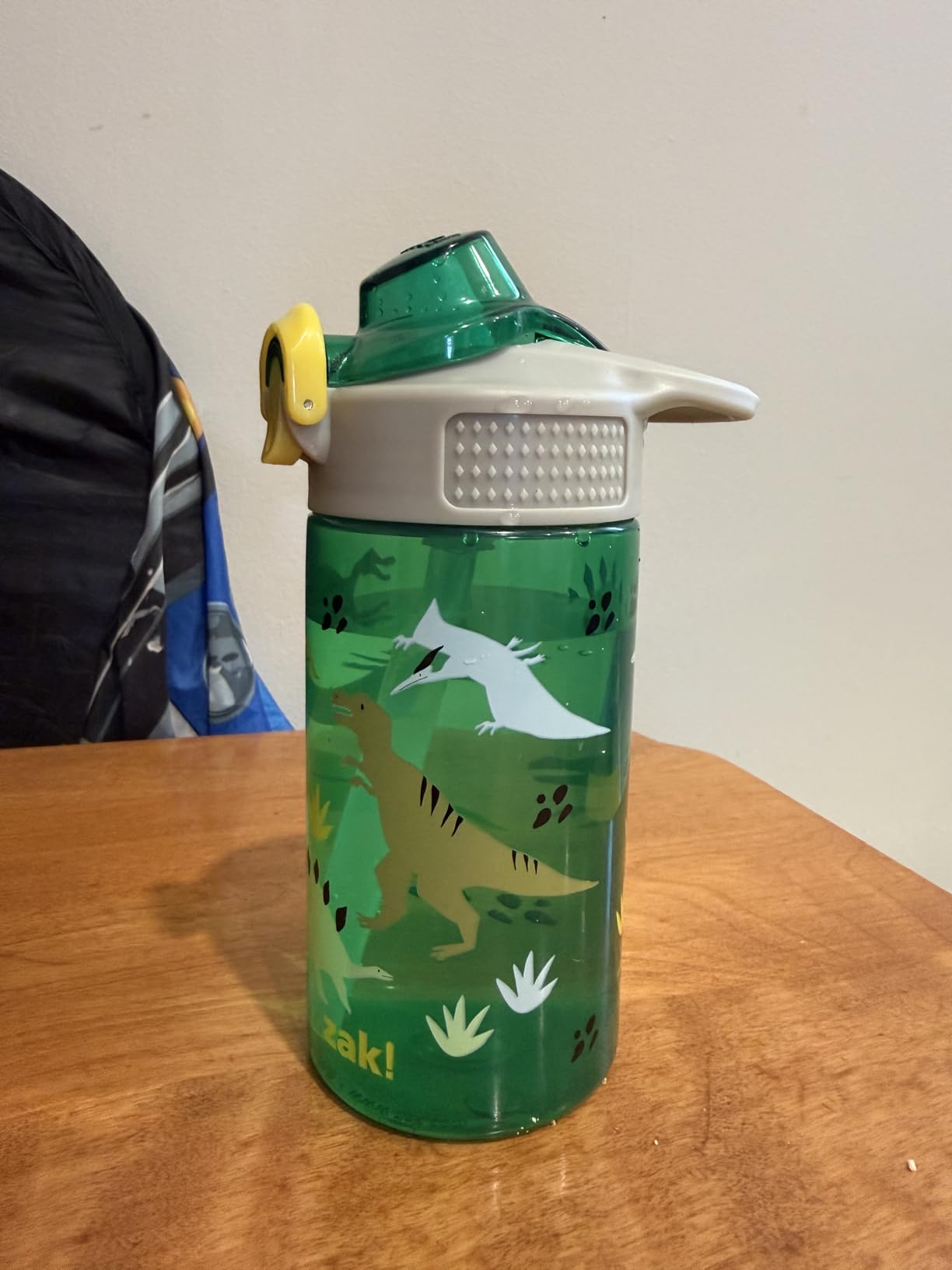 Zak Designs Dinosaur 16oz Leak-Proof Straw Kids Water Bottle, Plastic customer photo 2