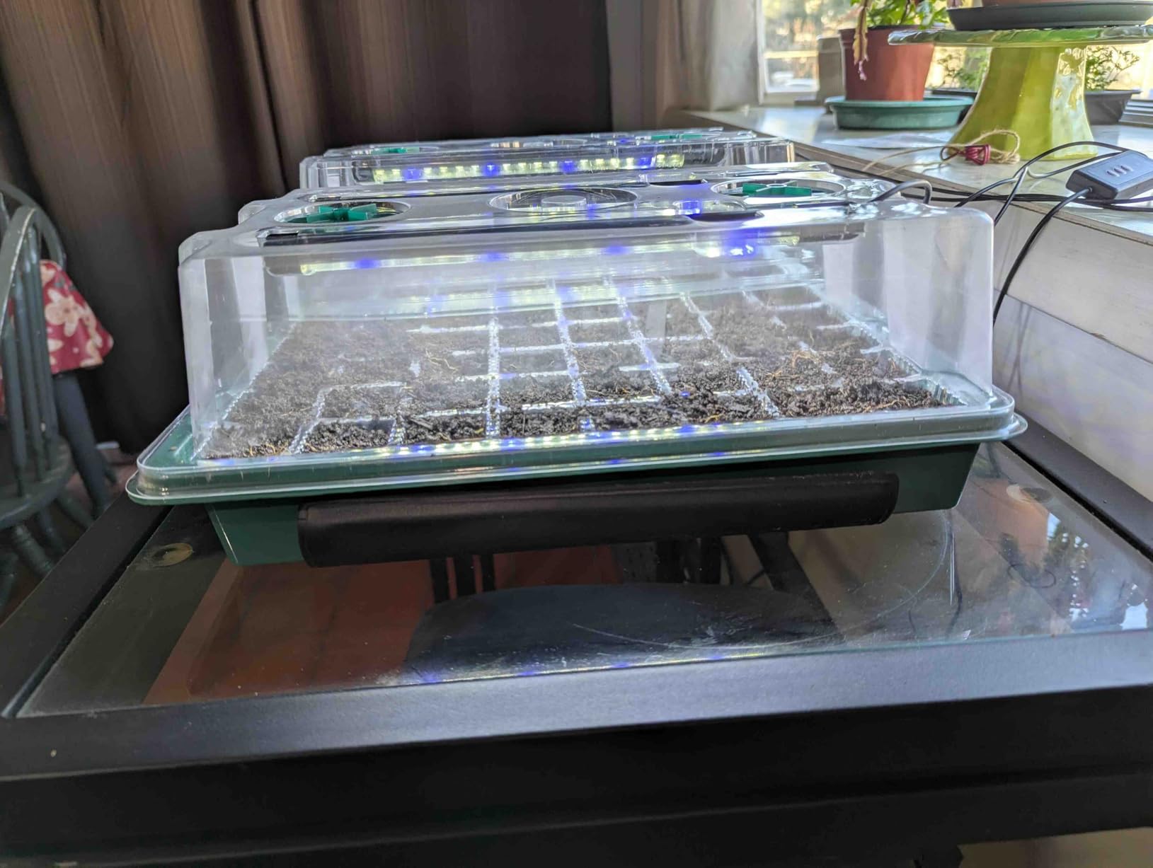 BlumWay Seed Starter Tray with Grow Light, Humidity Dome, 2 Pack 80 Cells customer photo 2