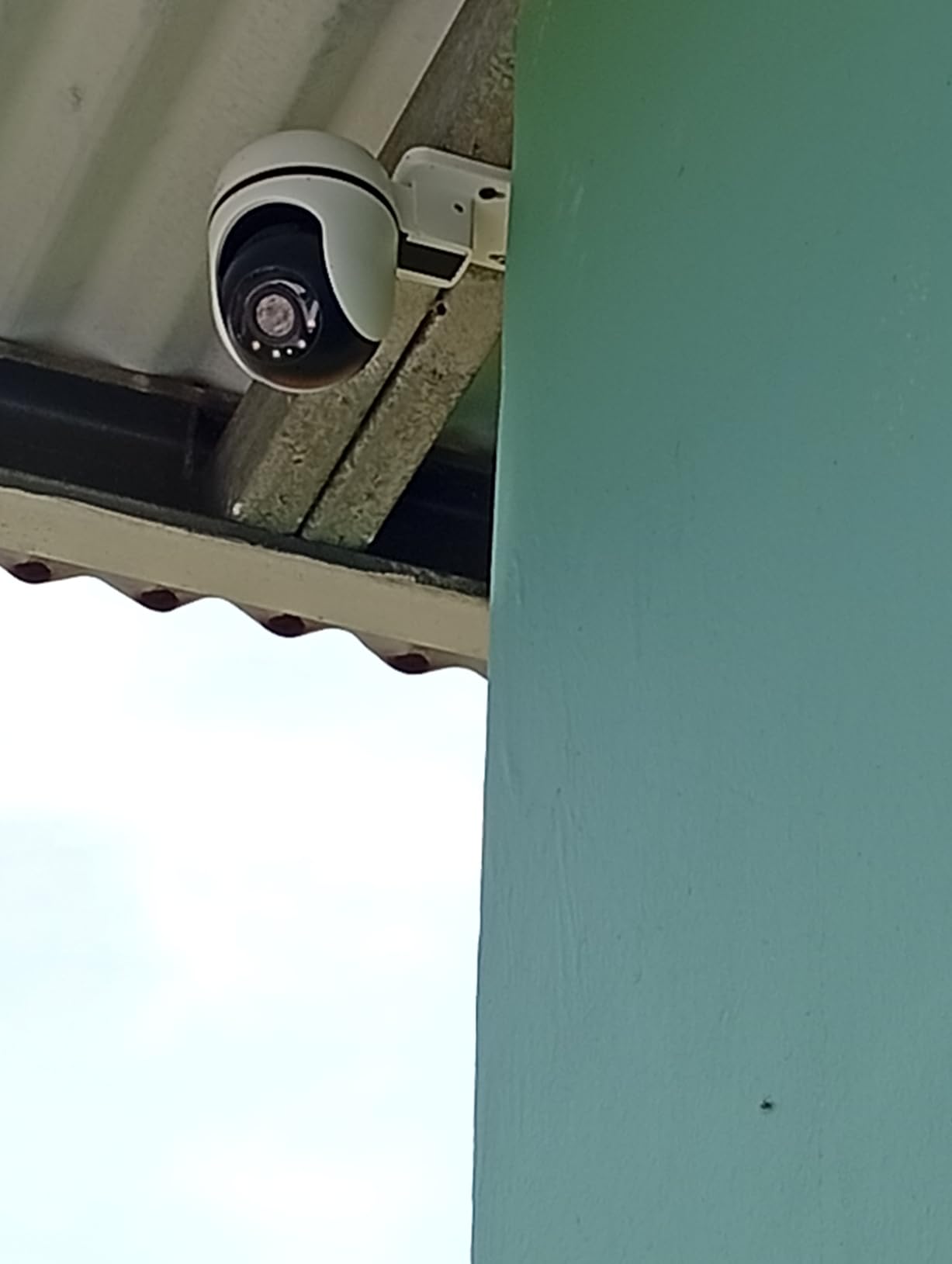 Tapo 1080P Outdoor Wired Pan/Tilt Security Wi-Fi Camera, 360° View, Motion Tracking, Works with Alexa & Google Home, Night Vision, Free AI Detection, Cloud & SD Card Storage(up to 512GB), Tapo C500… customer photo 2