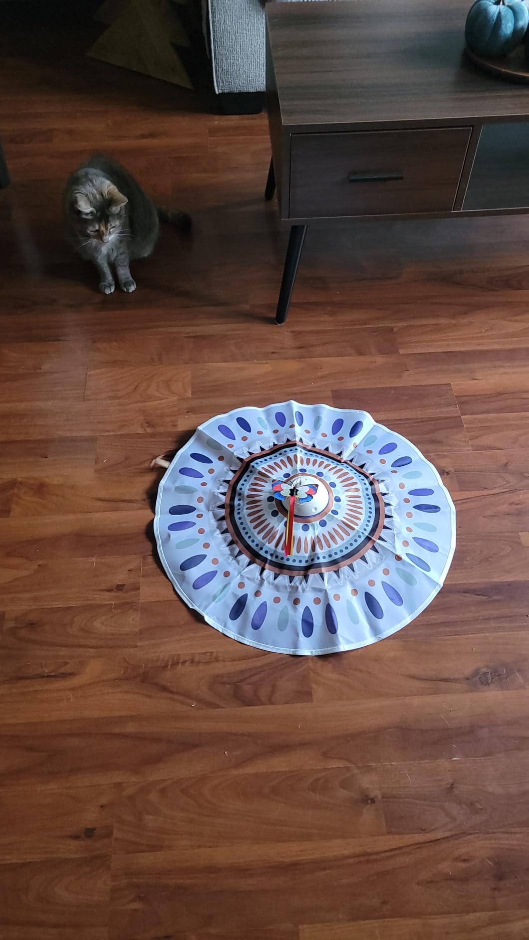 Potaroma Cat Toys Chargeable, 3in1 Hide and Seek, Interactive Fun customer photo 1