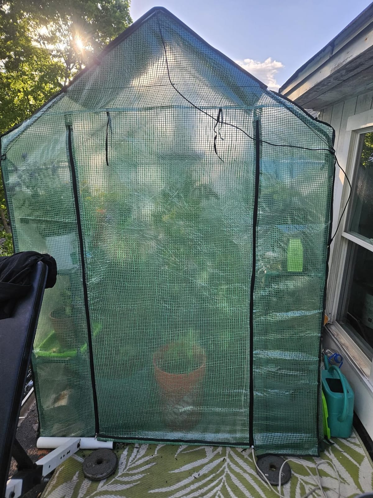 Greengro Greenhouse, 57 × 57 × 76