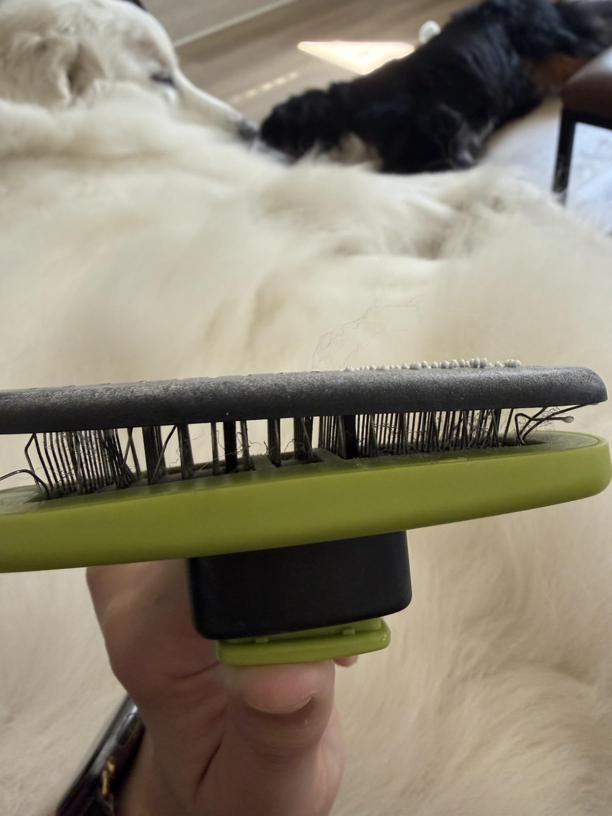 Pecute Skin Friendly Self-Cleaning Slicker Brush for Dog & Cat Shedding customer photo 2