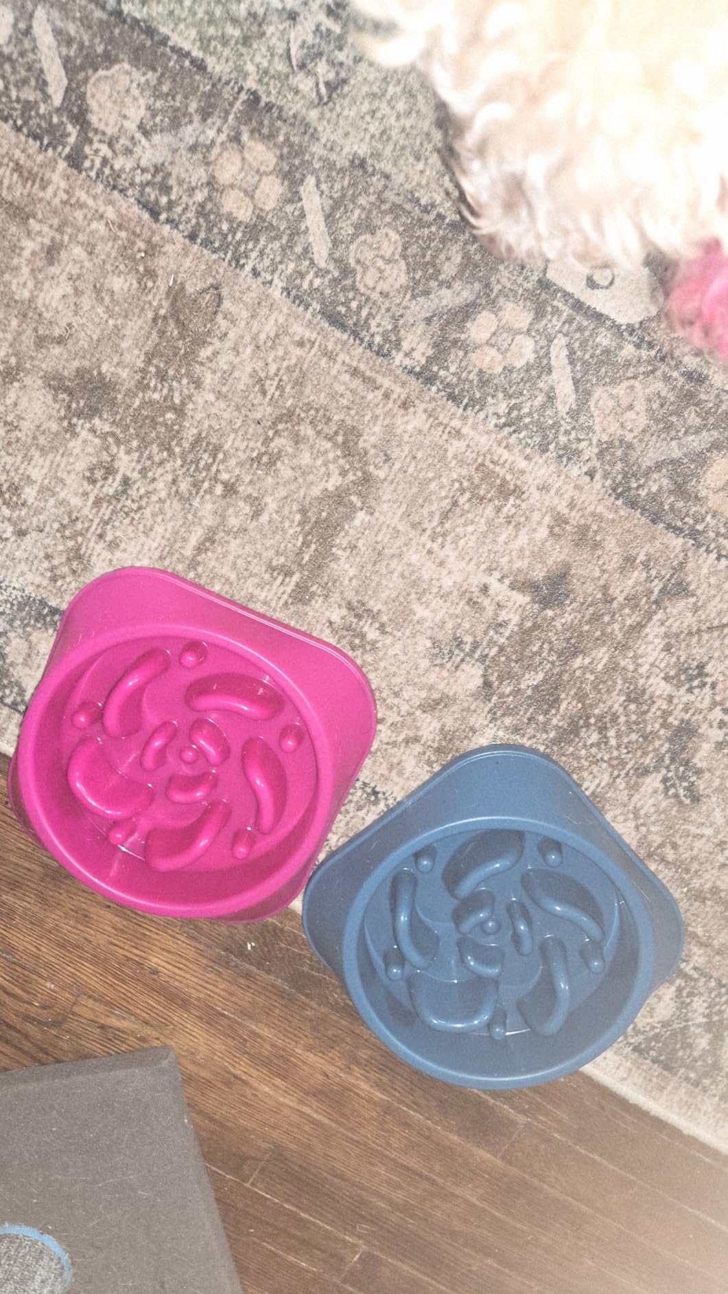 MateeyLife 2-Pack Slow Feeder Dog Bowls, 2 Cups, Dog Puzzle Feeder Bowl customer photo 2