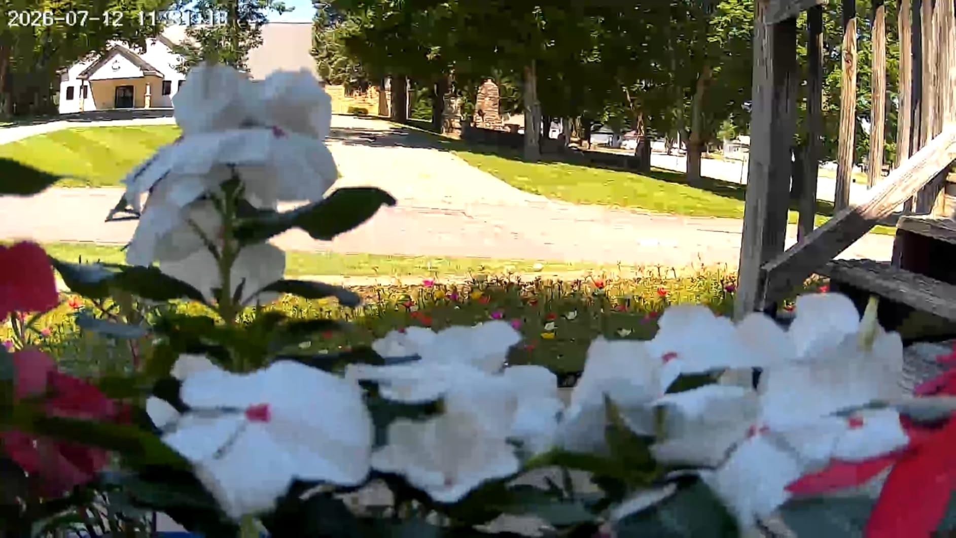 VIZIUUY 3MP Solar Security Cameras Wireless Outdoor, WiFi 6,360°PTZ Camera customer photo 2