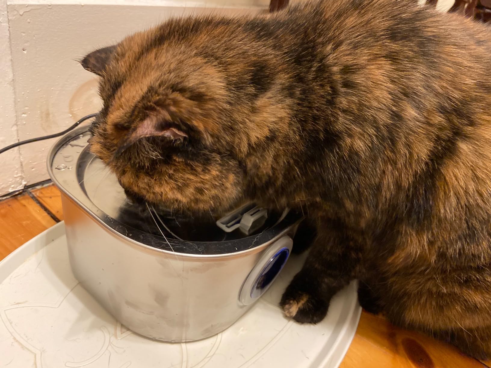 PEKTACO Cat Water Fountain, 3.2L/108oz Stainless Steel Pet Water Fountain customer photo 2