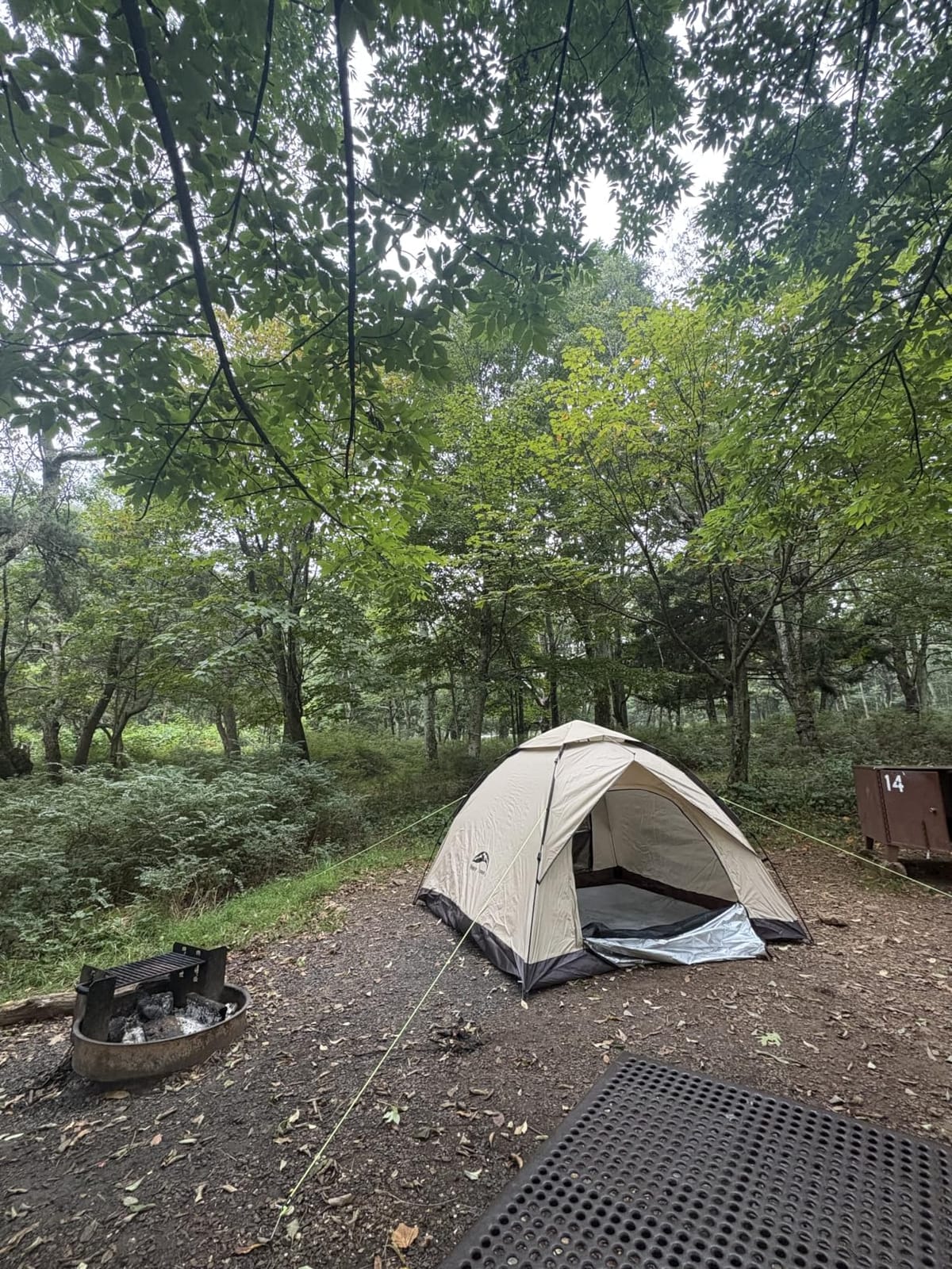 Happy Travel 2/4 Person Camping Tent, Instant Easy Pop Up Tents for Camping customer photo 2
