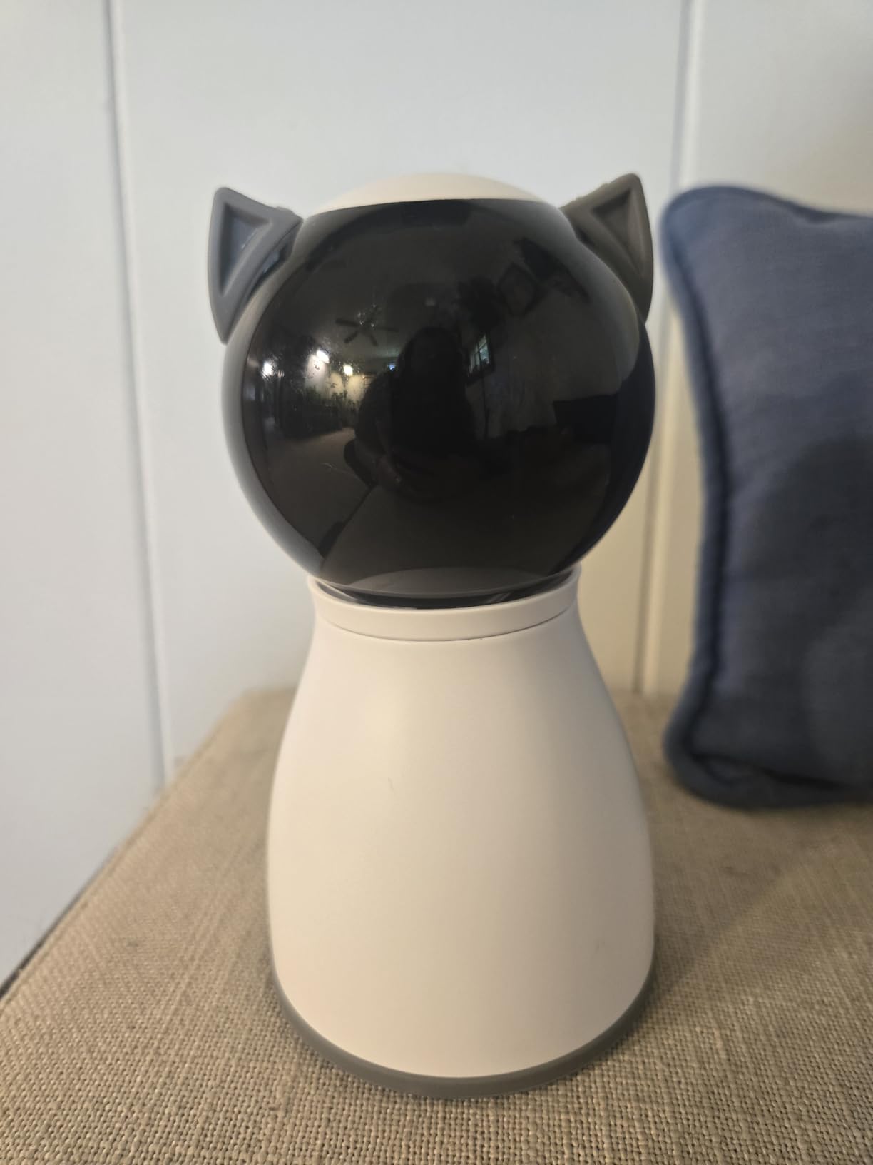 YVE LIFE Interactive Cat Toys Laser for Indoor Cats,Automatic Kitten Toys customer photo 1
