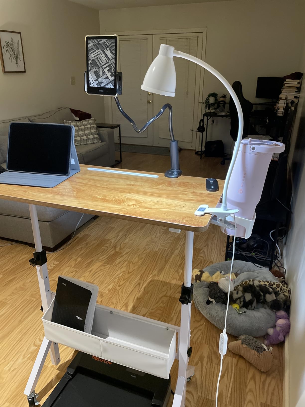 BOHON Desk Lamp with Clamp, Clip on Light, 5 Color 10 Brightness, Teal customer photo 2