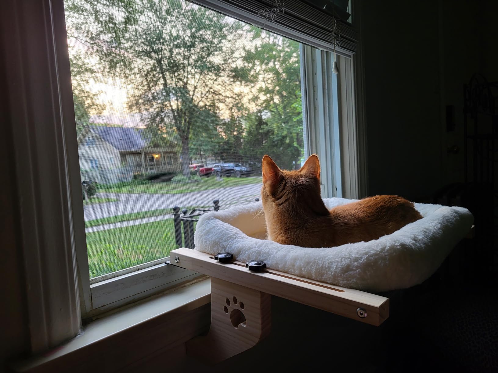 AMOSIJOY Wooden Cat Windowsill Perch with Zipper Cushion Bed, 24.4in customer photo 2