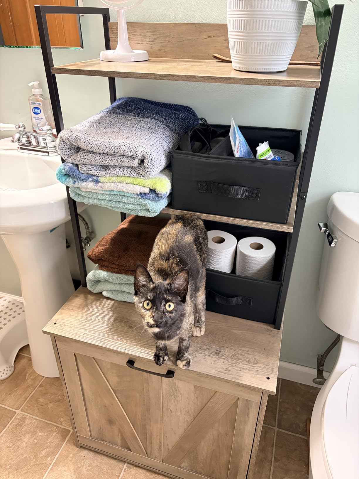 DWANTON Cat Litter Box Enclosure, 2 Storage Shelves and 2 Drawers, 50