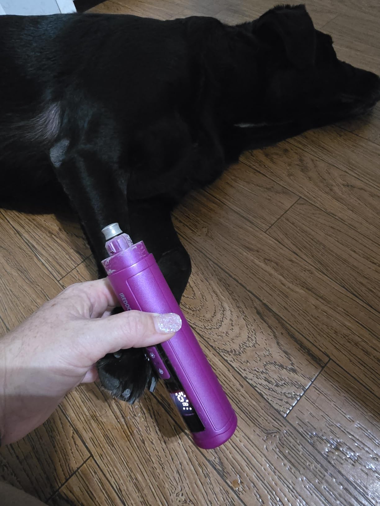 IREDOON Dog Nail Grinder with 4 LED Lights, 3 Speeds Super Quiet for Pets customer photo 2