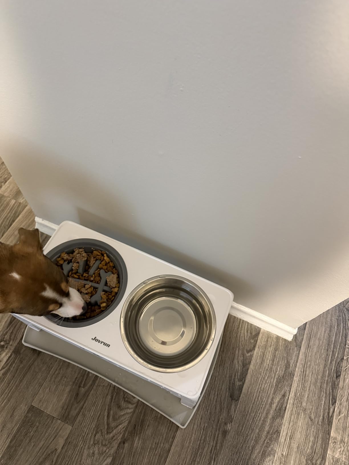 Jovrun Elevated Dog Bowls for Medium Large Size Dogs, Non-Slip Dog Feeder with 1*Stainless Steel Dishes & 1*Slow Feeder Bowl, 5 Heights Adjustable Raised Bowls to 3.15″-8.66″-9.84″-11.02″-12.2″ customer photo 1