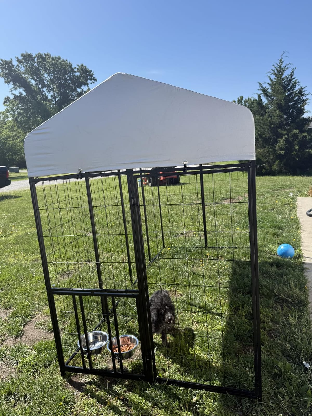 ROOMTEC Heavy Duty Outdoor Dog Kennel with Rotating Bowls, 8 x 4 x 5.6-ft customer photo 1