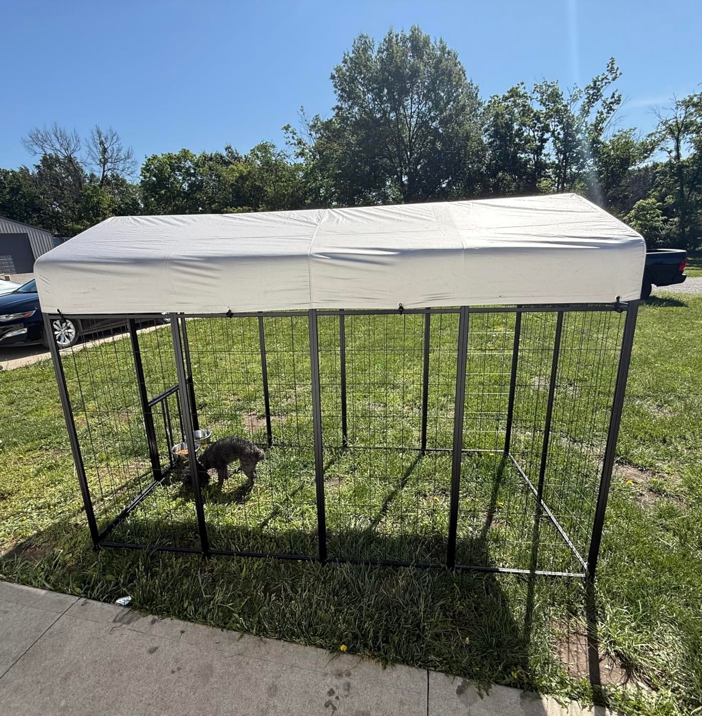 ROOMTEC Heavy Duty Outdoor Dog Kennel with Rotating Bowls, 8 x 4 x 5.6-ft customer photo 2