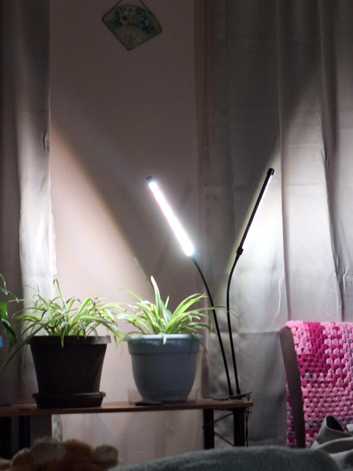 EWPJDK Grow Light 6500K Full Spectrum Plant Grow Lights 84 LED Plant Light with Clip Grow Lamp for Indoor Plants Growing Lamps（1PCS） customer photo 1