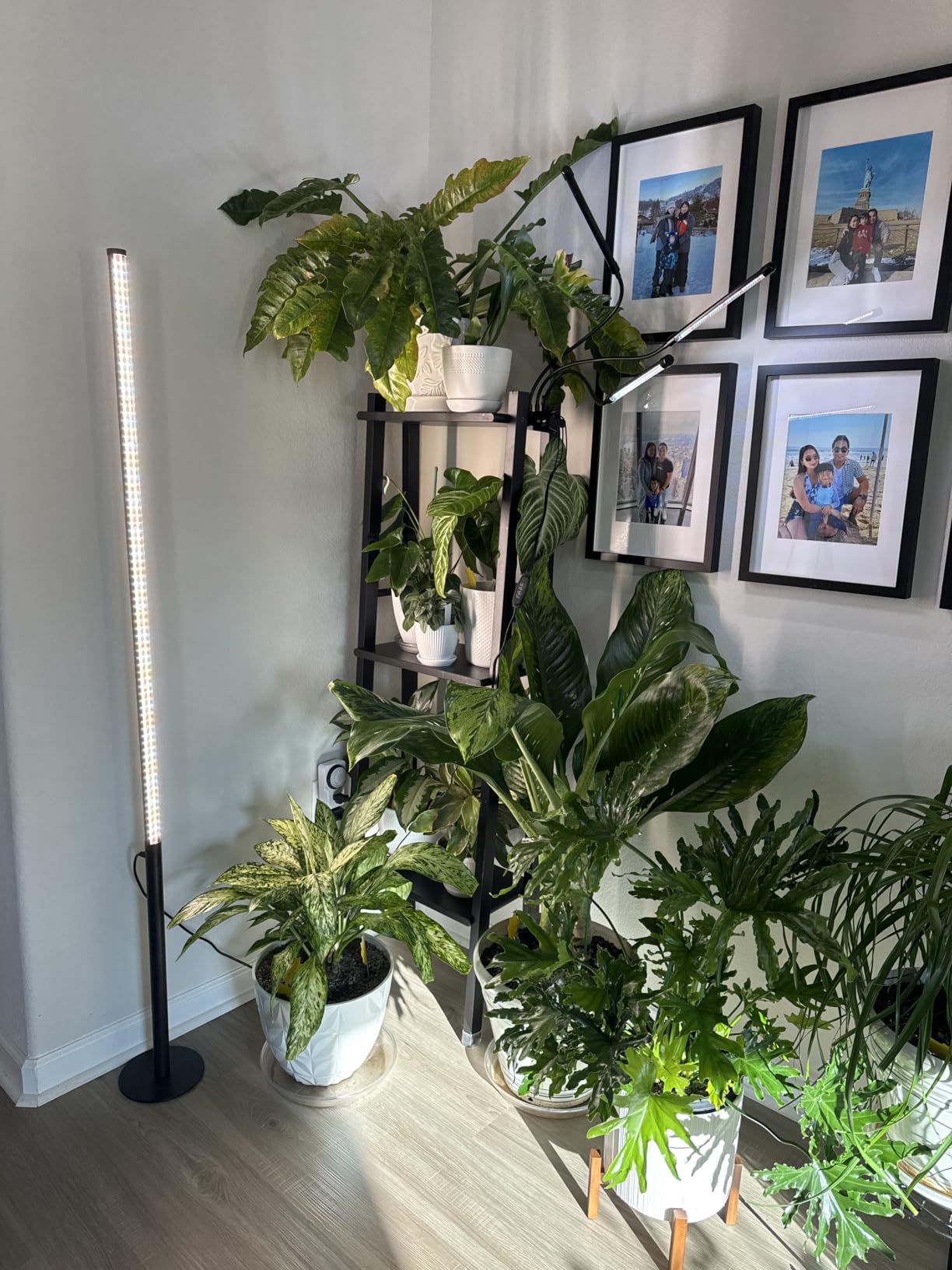 Barrina T10 Pro Vertical Grow Light, 42W, Full Spectrum, 4FT to 5.6FT customer photo 1