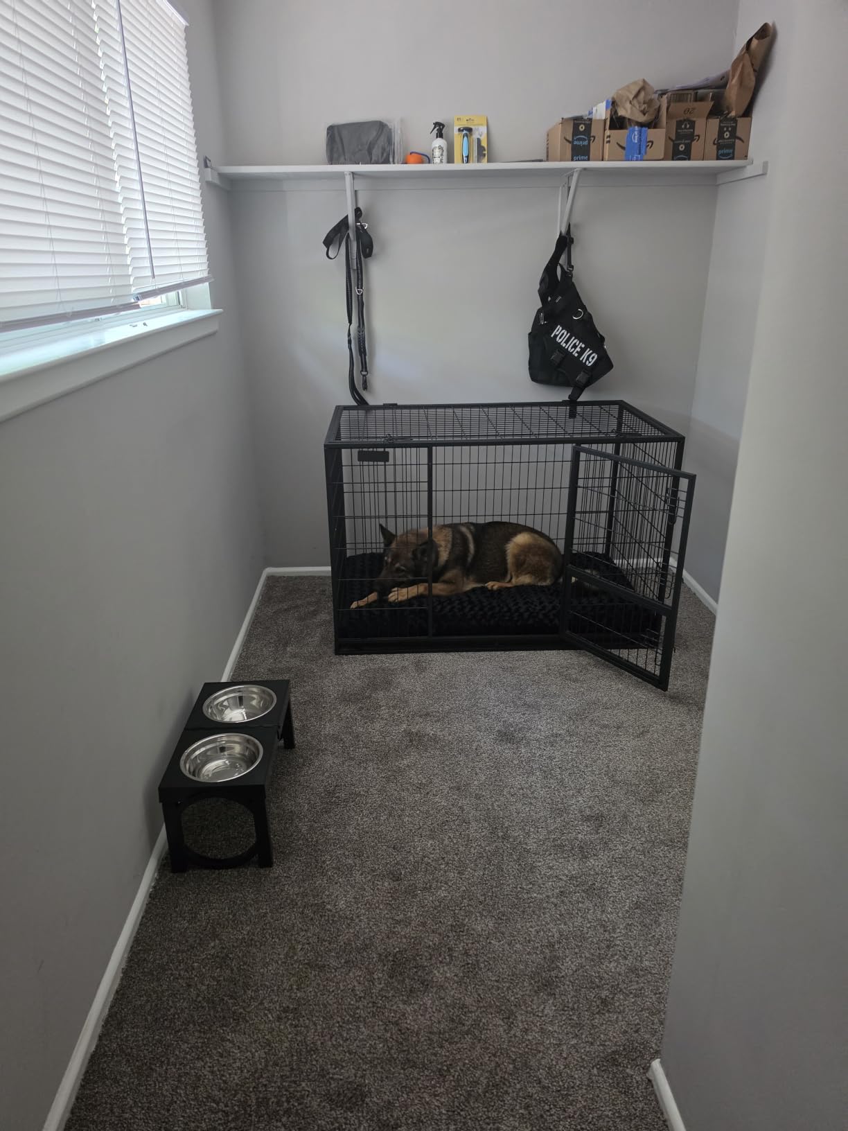 XIAZ Elevated Dog Bowls Large Breed Raised Dogs Bowl Stand Large/Medium Sized Dog Stainless Steel Food Water Bowl Stands 5 Heights Adjustable 9/11/12/14in Black Pet Feeder Dish Station customer photo 1