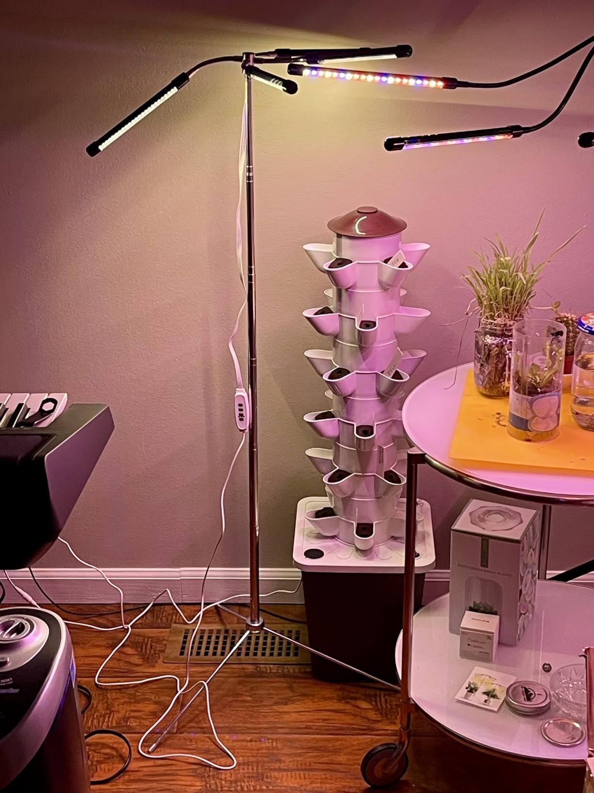 Hydroponic Growing System,Hydroponic Vertical Garden,Indoor Smart hydroponic Vegetable System, 35 Pods,Plant Germination kit with Pump System, Auto Timer, Beginner kit,Gardening Gift customer photo 2