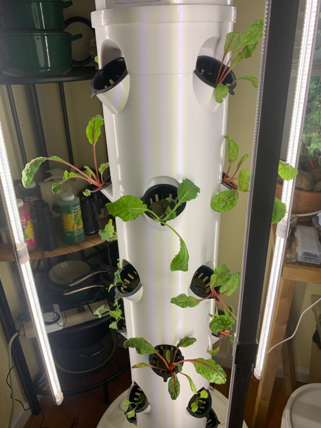 GX Hydroponic Tower | Vertical Planter Tower | Hydroponics Growing System Kit | Food Grade with 24 Net Pots (with LED Grow Lights) customer photo 2