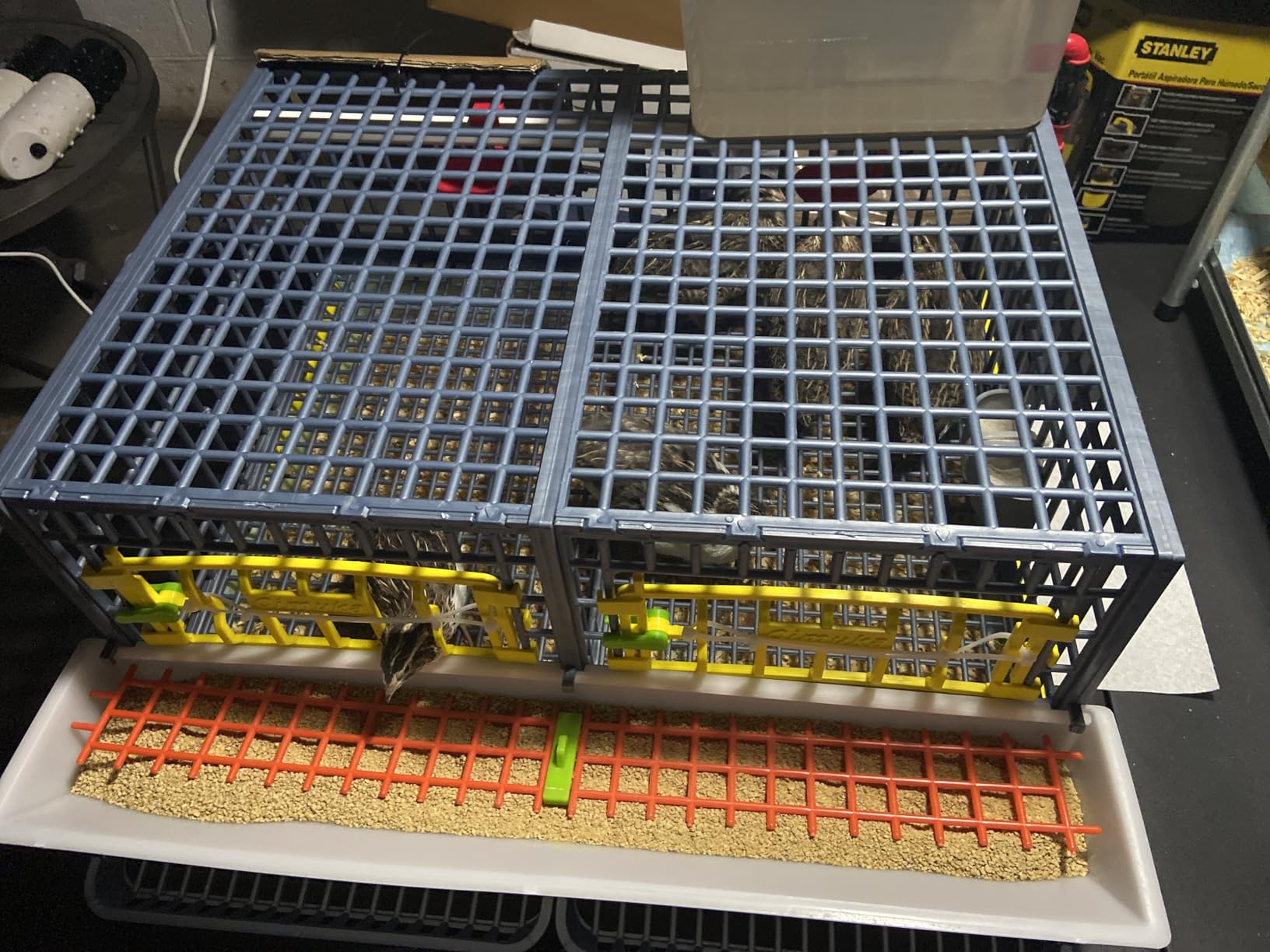 Hatching Time Quail Breeding Cage Indoor, 3 Section, 2 Layer, Jumbo customer photo 2